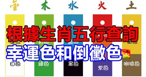 八字 顏色|根據生肖五行查詢幸運色和倒霉色